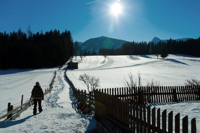 Alpengasthof Fichtenheim Hotel Ramsau am Dachstein Kültér fotó